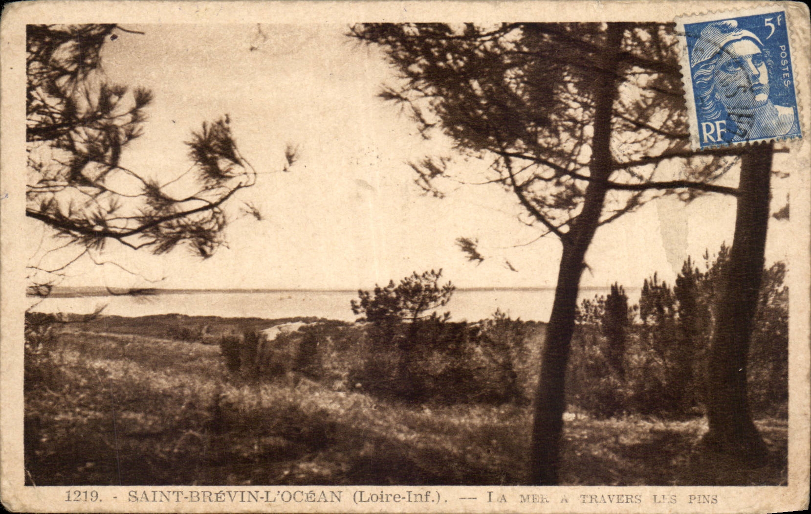 CPA Saint Brevin das Ozeanmeer durch die Kiefern