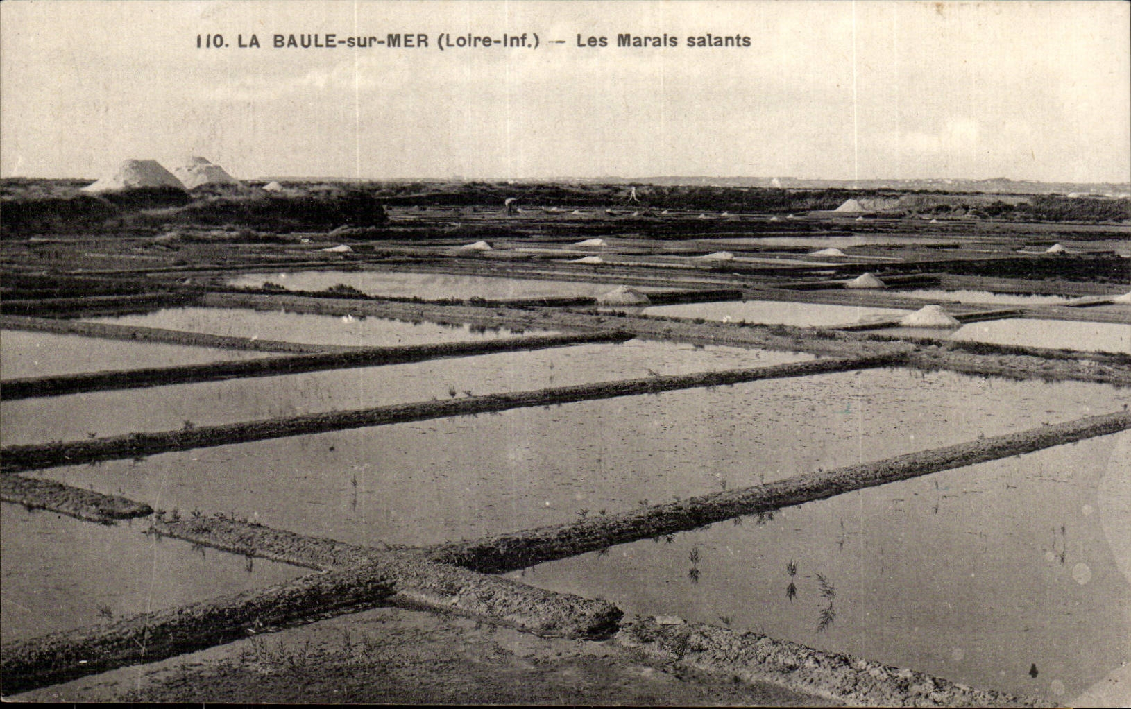 CPA La Baule on sea salt-water marshes