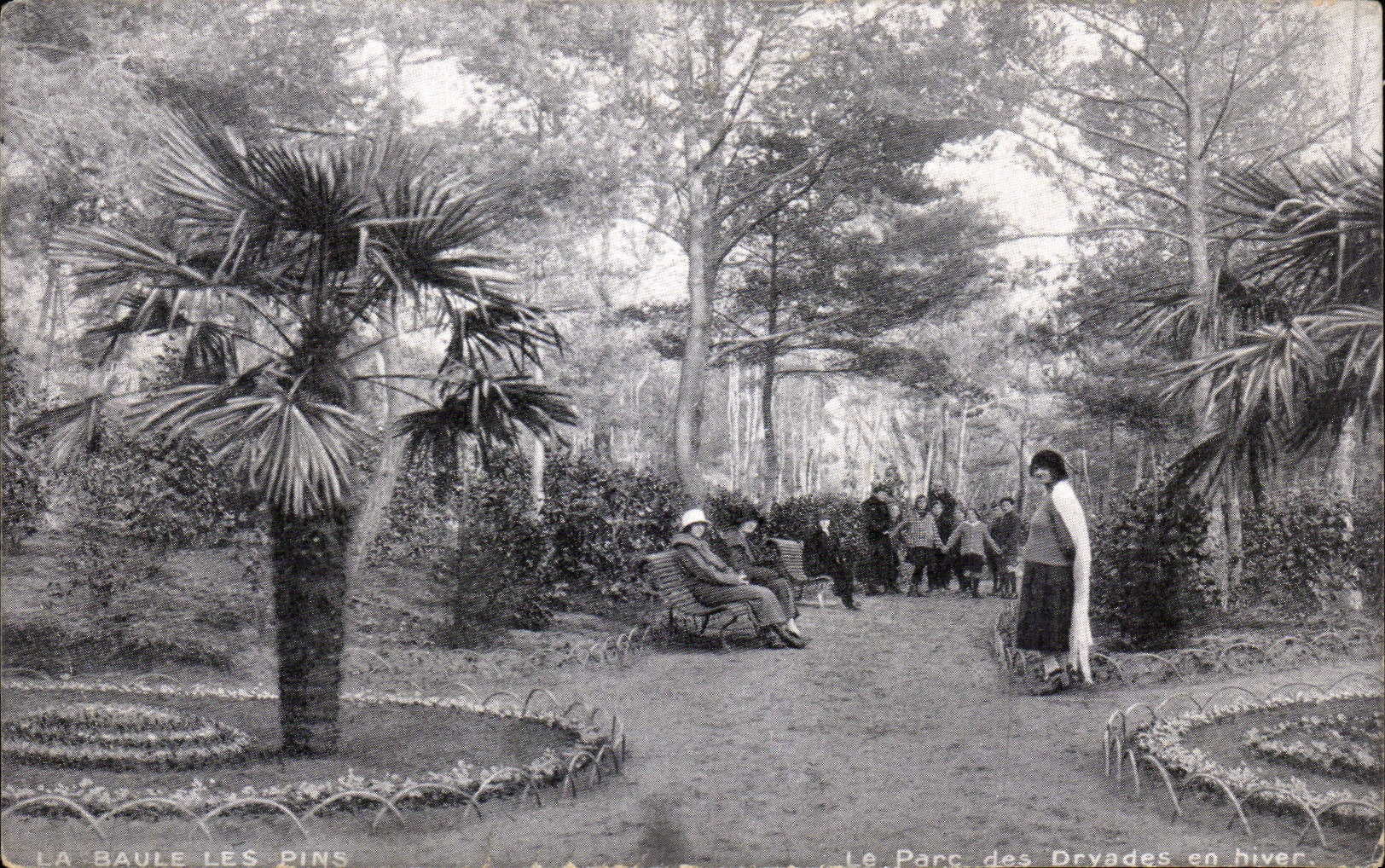 CPA La Baule the park of Dryades in winter