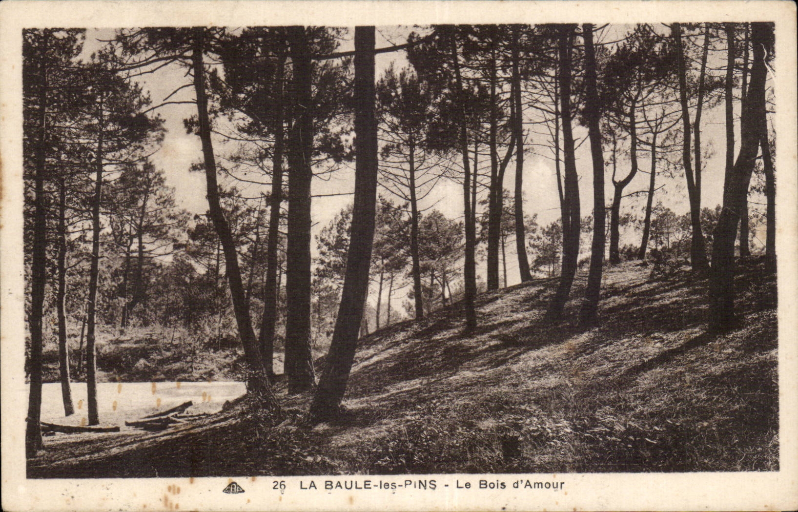 CPA La Baule the wood of love