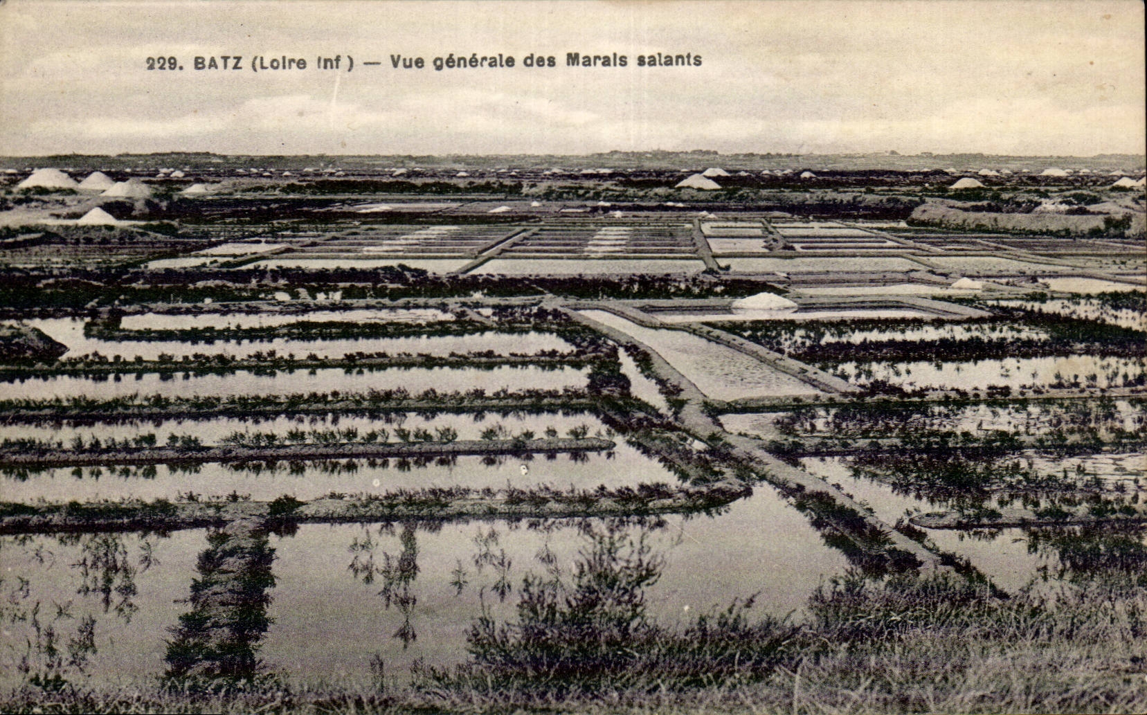 CPA Batz View of the salt-water marshes