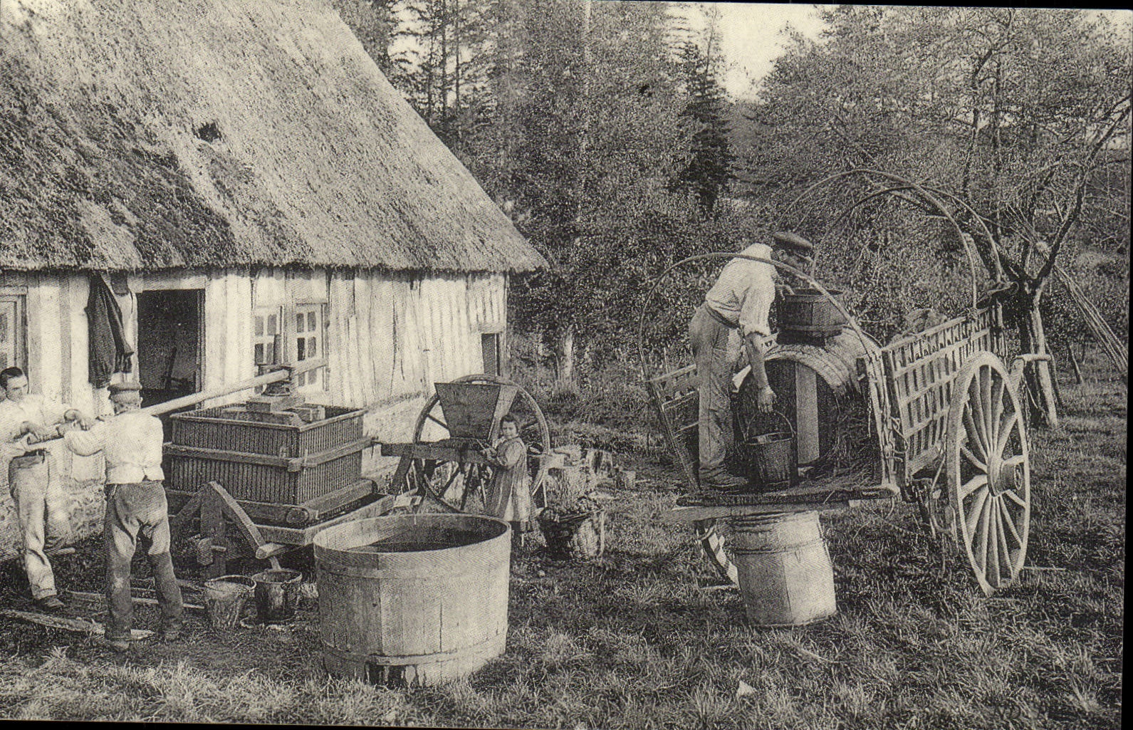 REPRODUCTION Normandy Manufacture of the cider