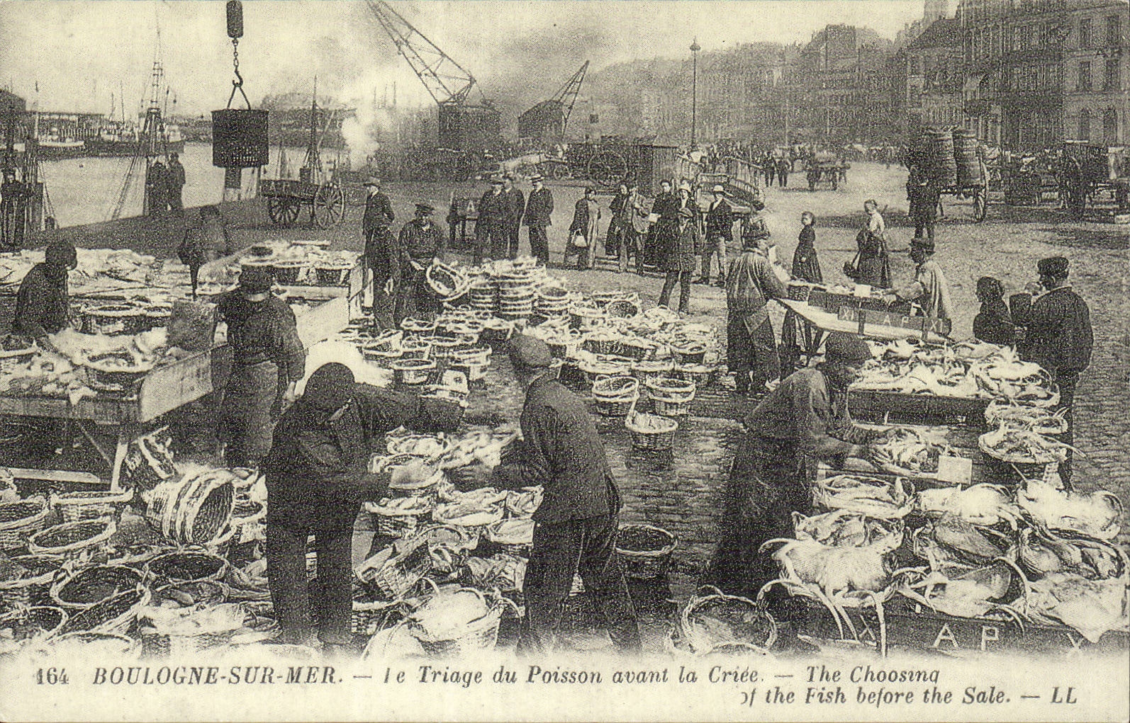 Boulogne REPRODUCTION on sea the sorting of fish before the criee
