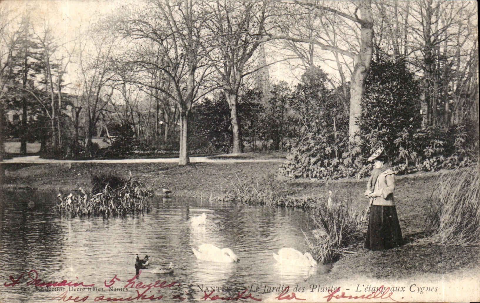 Nantes CPA the botanical garden