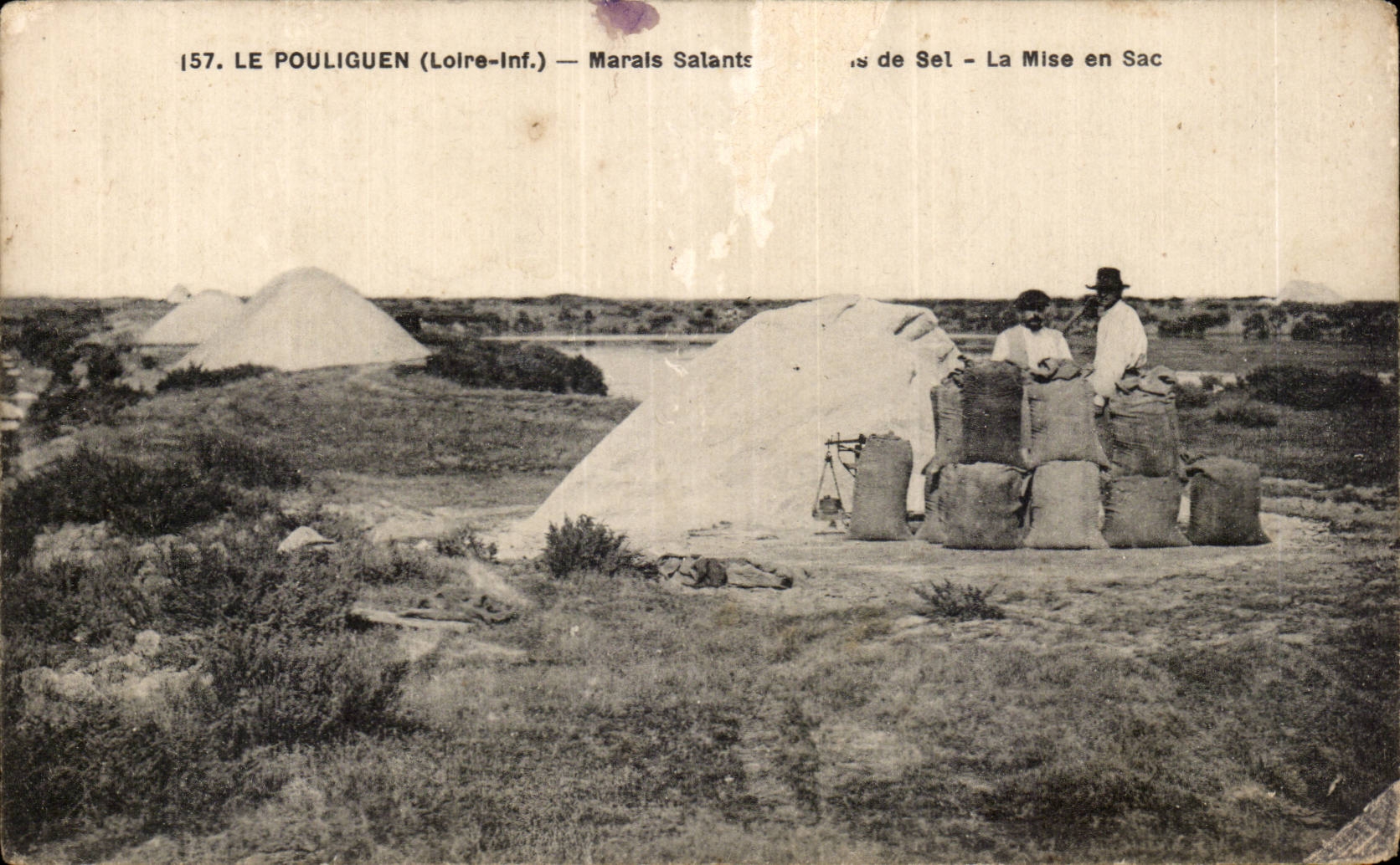 CPA Pouliguen Salt marsh the bagging