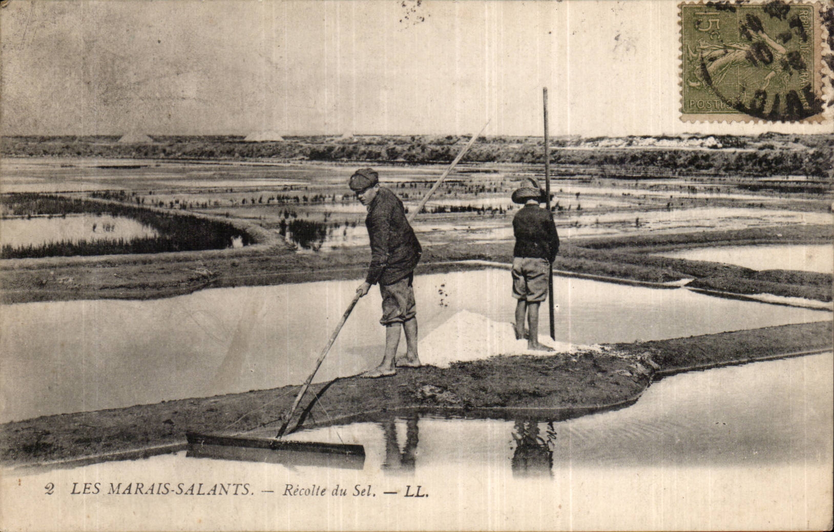 CPA die Salzwassersumpfe sammelt Salz