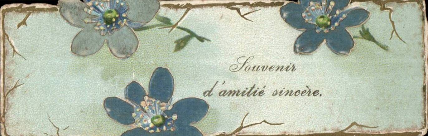 Blumen - Blumen - aufrichtige Andenken der Freundschaften - CPA