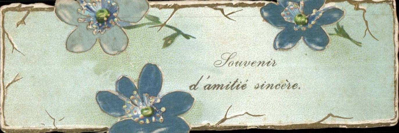 Blumen - Blumen - aufrichtige Andenken der Freundschaften - CPA