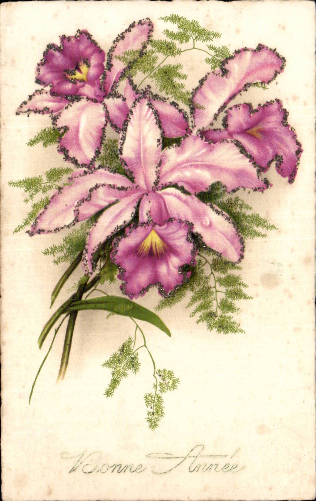 Blumen - Blumenstrauss weg von funkelndem Purpur bluht CPA