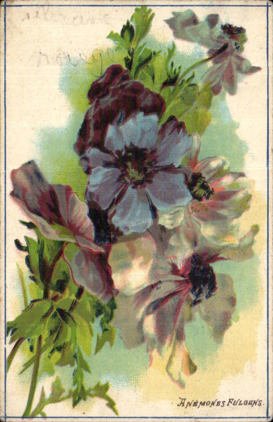 Blumen - Blumen - kunstvolles Purpur bluht CPA