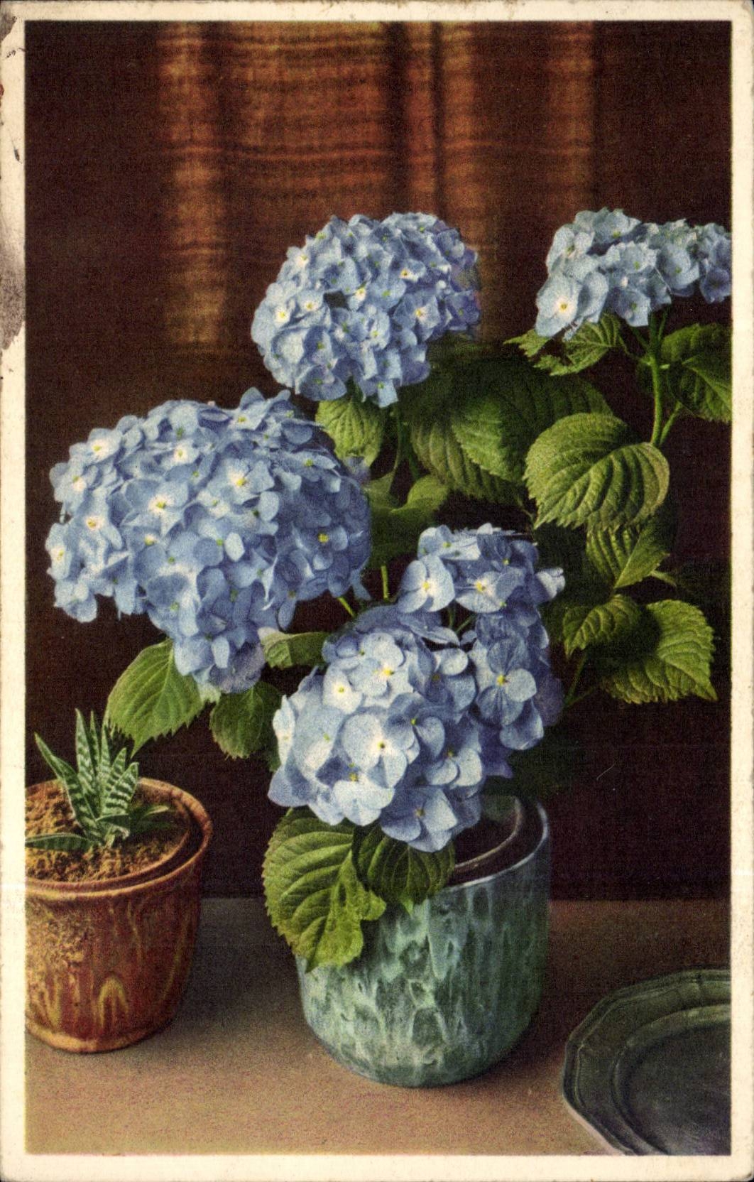 Blumen - Blumen - Vase weg von den purpurroten Bluten - CPA