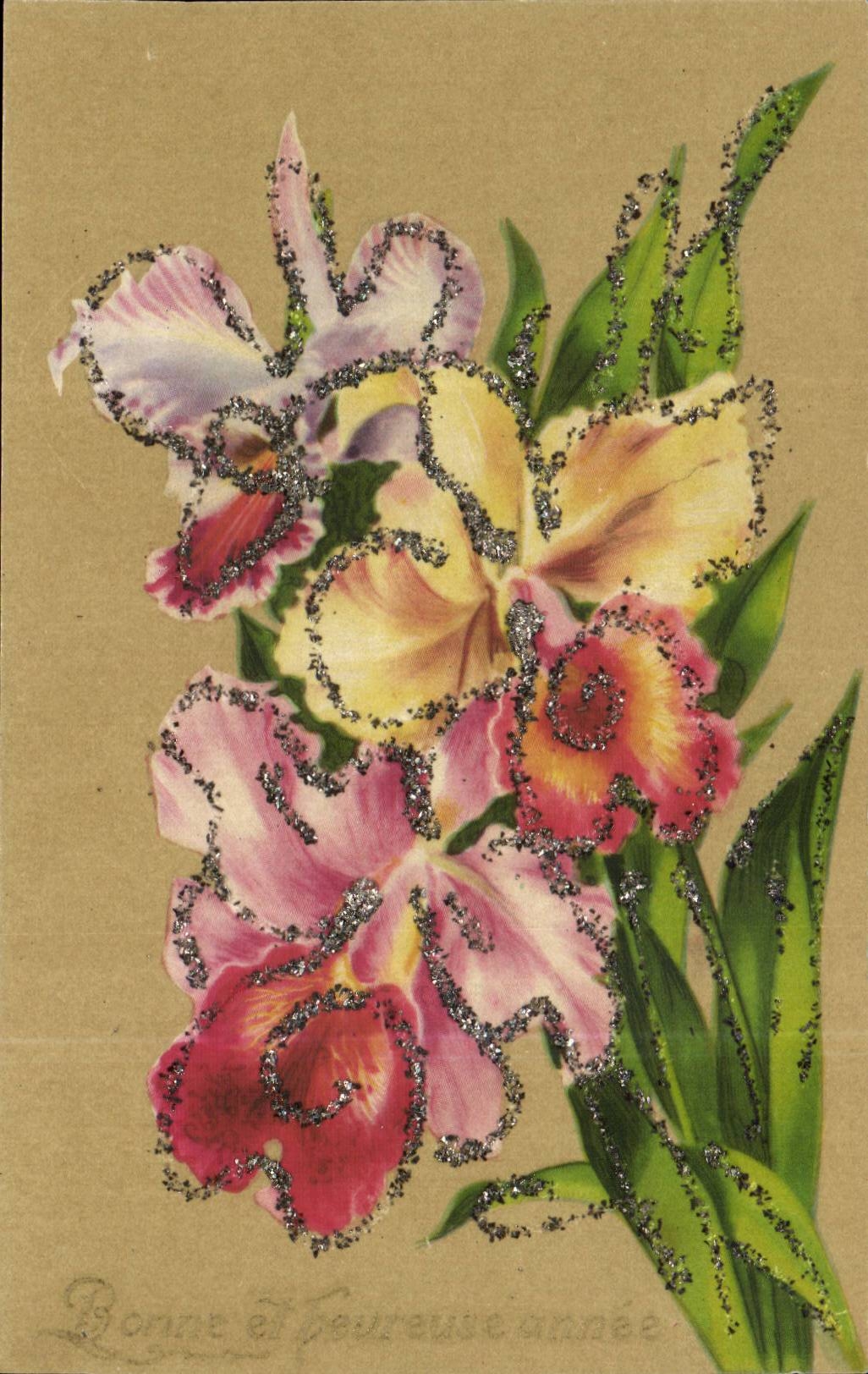 Blumen - Blumen - Funkeln umrissene Weinleseblumenkarte - CPA