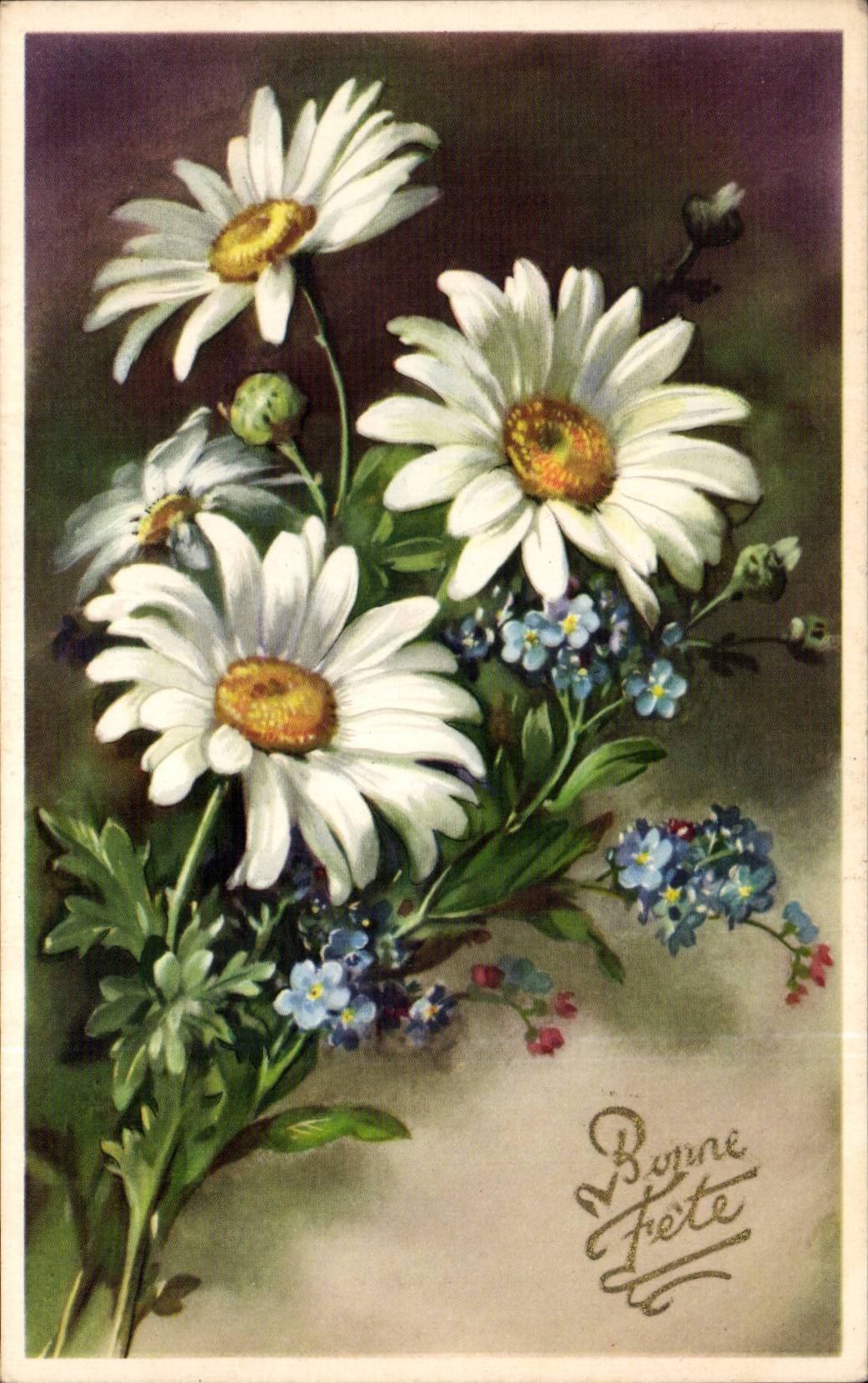 Blumen - Blumen - hubsche Ganseblumchen - CPA