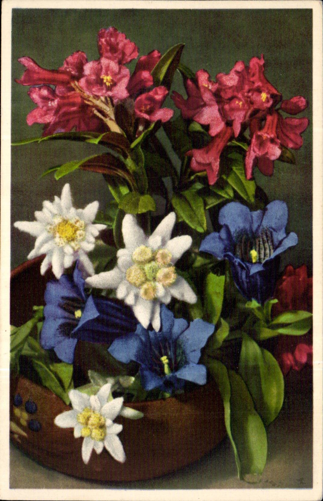 Blumen - Blumen - hell und hubsches boquet - CPA