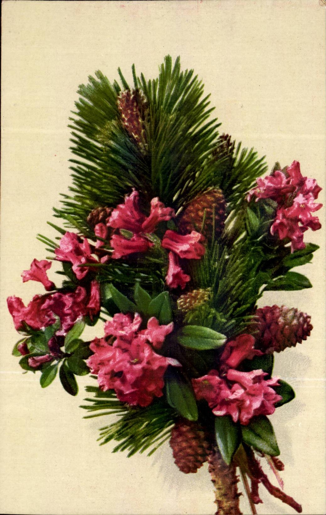 Blumen - Blumen - Blumenstrauss mit Bumsennadeln - CPA