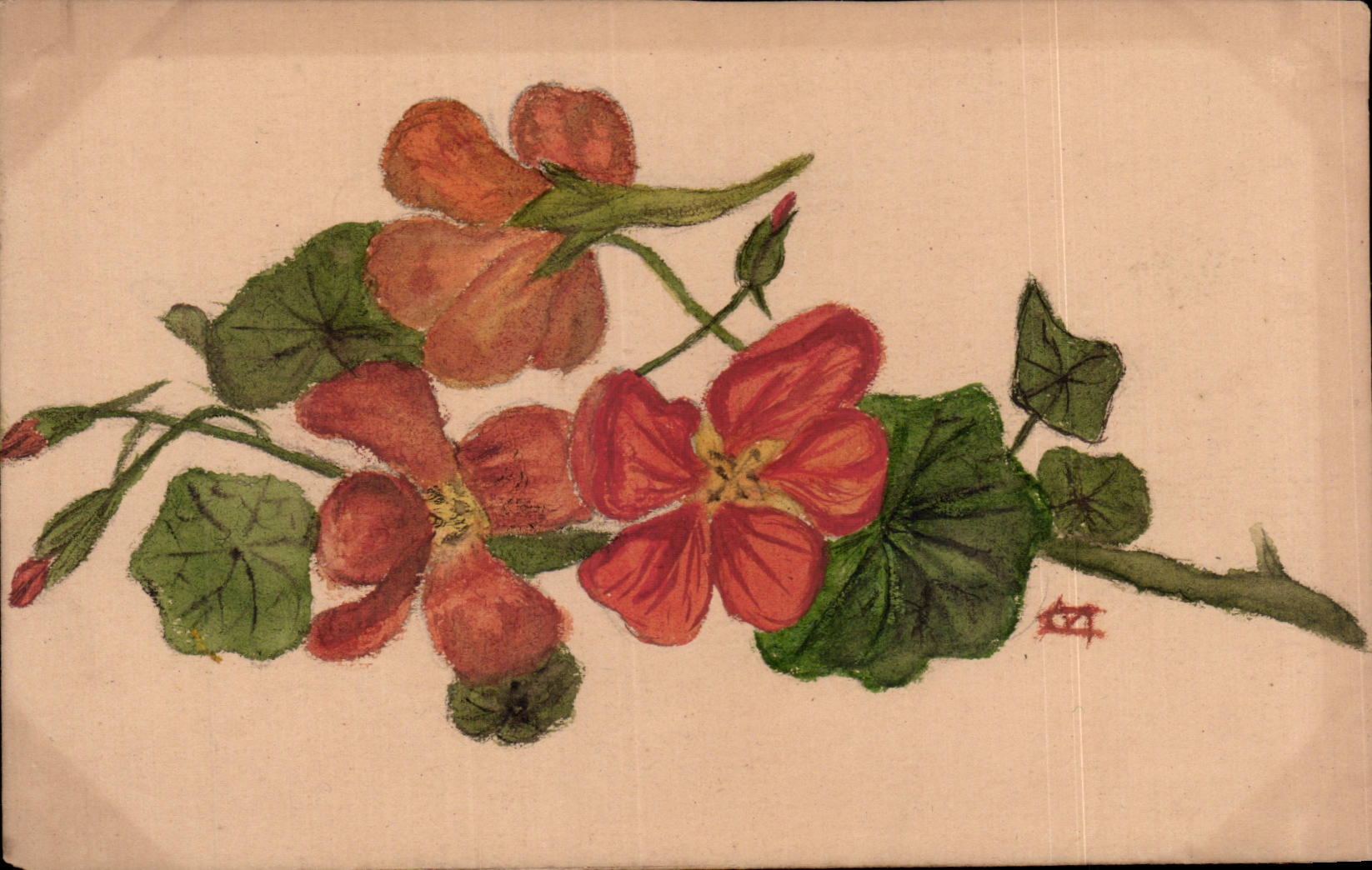 Blumen - recht betatigt Blumen schauend - CPA