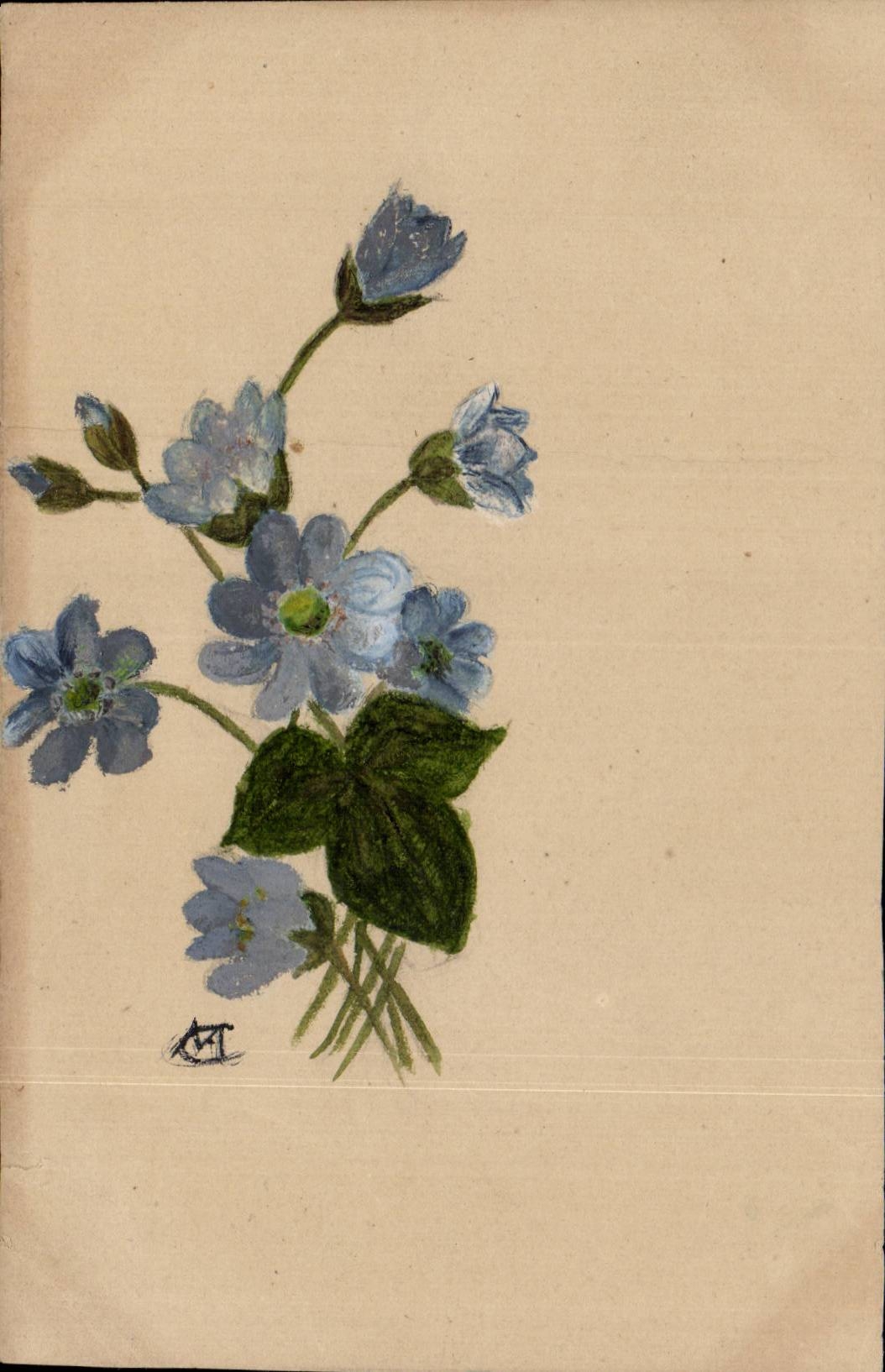 Blumen - recht purpurrote Blumen - CPA