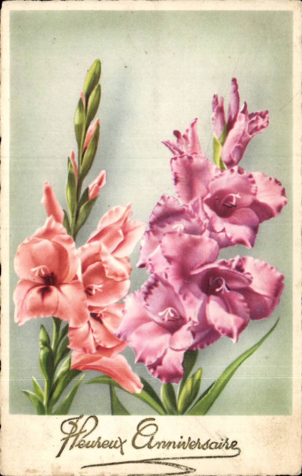 Blumen - recht rosafarbene Blumen - CPA