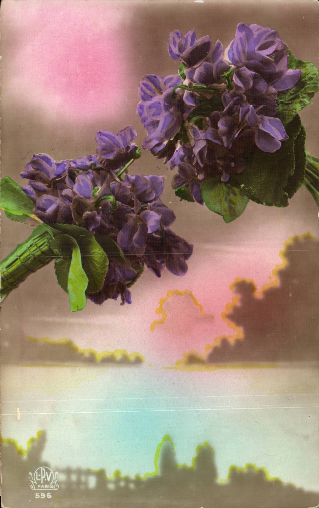 Blumen - Blumen - recht purpurrote Blumen - CPA