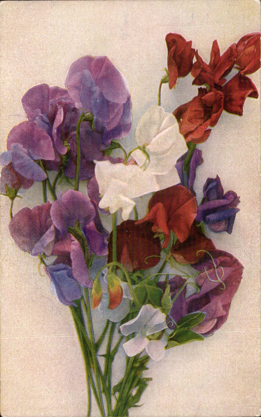 Blumen - Blumen - bunter Blumenstrauss - CPA