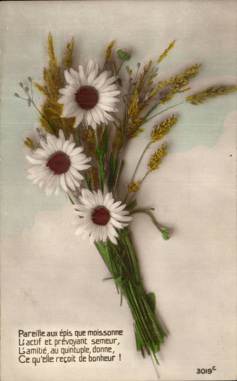 Blumen - Blumen - Ganseblumchen- und Weizenblumenstrauss - Mais - CPA