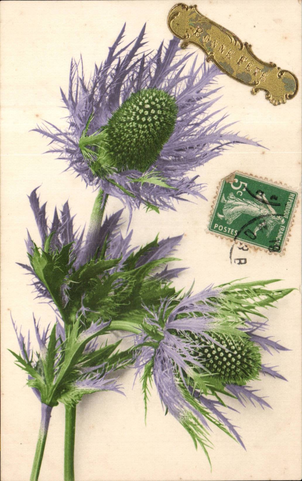 Die gute CPA Phantasie-Blume feiert