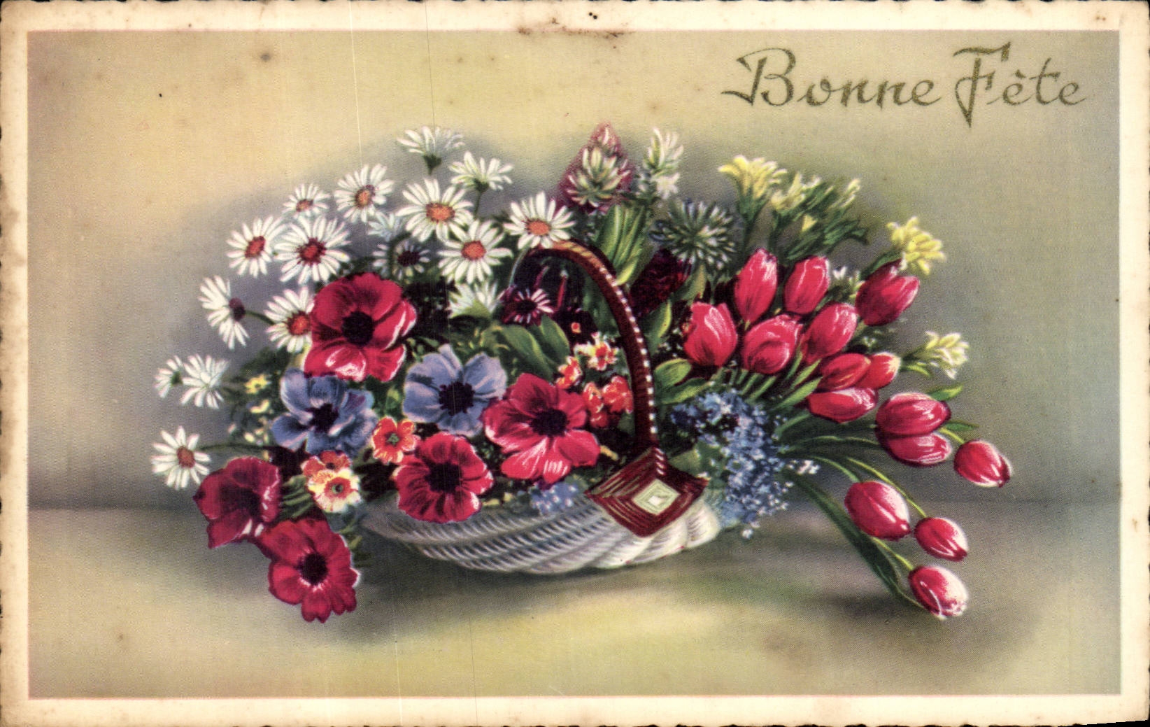 Blumen - Blumen - Tennisschuh weg von den Ganseblumchen - gutes Festival - CPA