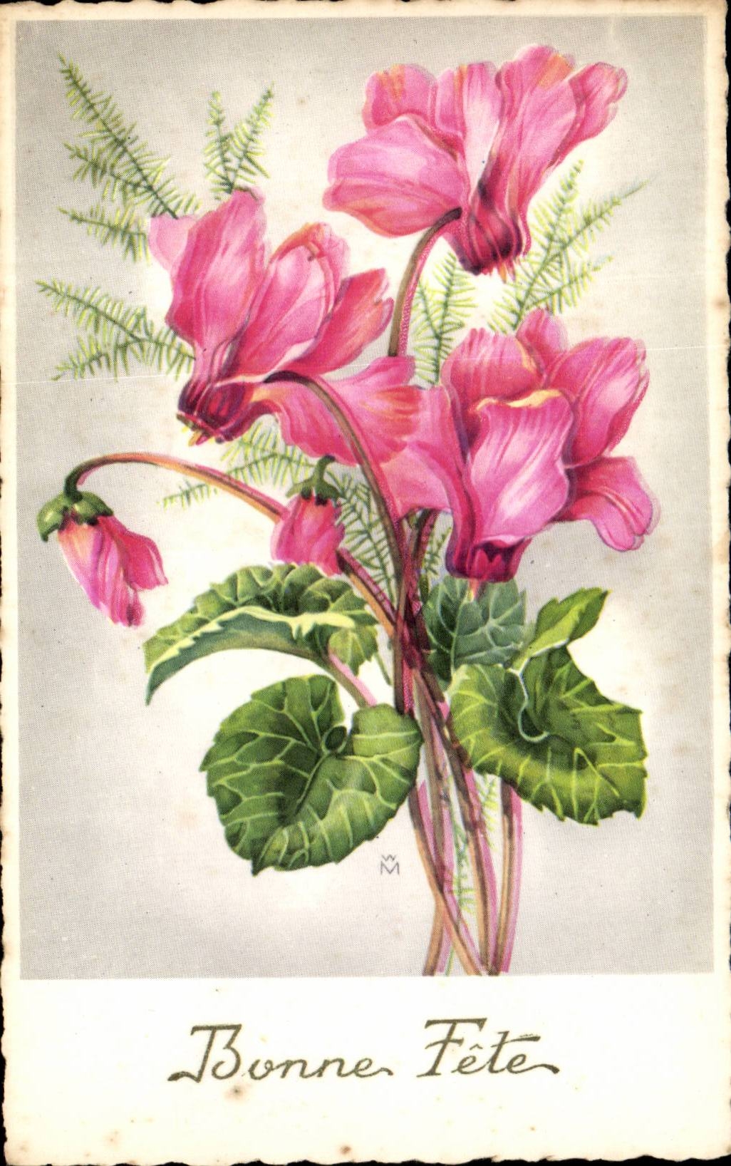 Blumen - Blumen - Blumenstrauss weg von den rosafarbenen exotischen Blumen - gutes Festival - CPA