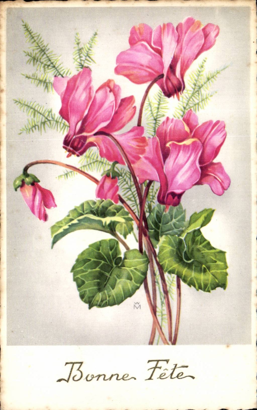 Blumen - Blumen - Blumenstrauss weg von den rosafarbenen exotischen Blumen - gutes Festival - CPA