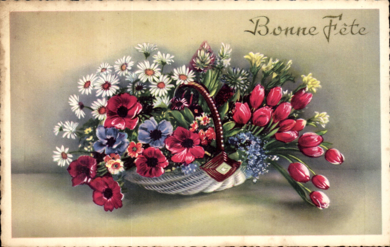 Blumen - Blumen - Tennisschuh weg von den Ganseblumchen - gutes Festival - CPA