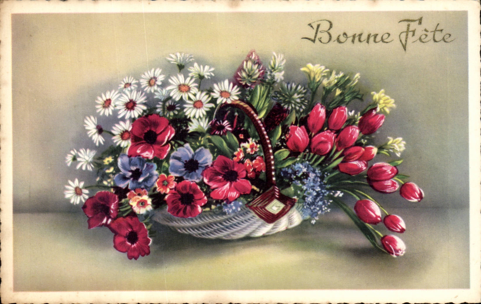 Blumen - Blumen - Tennisschuh weg von den Ganseblumchen - gutes Festival - CPA