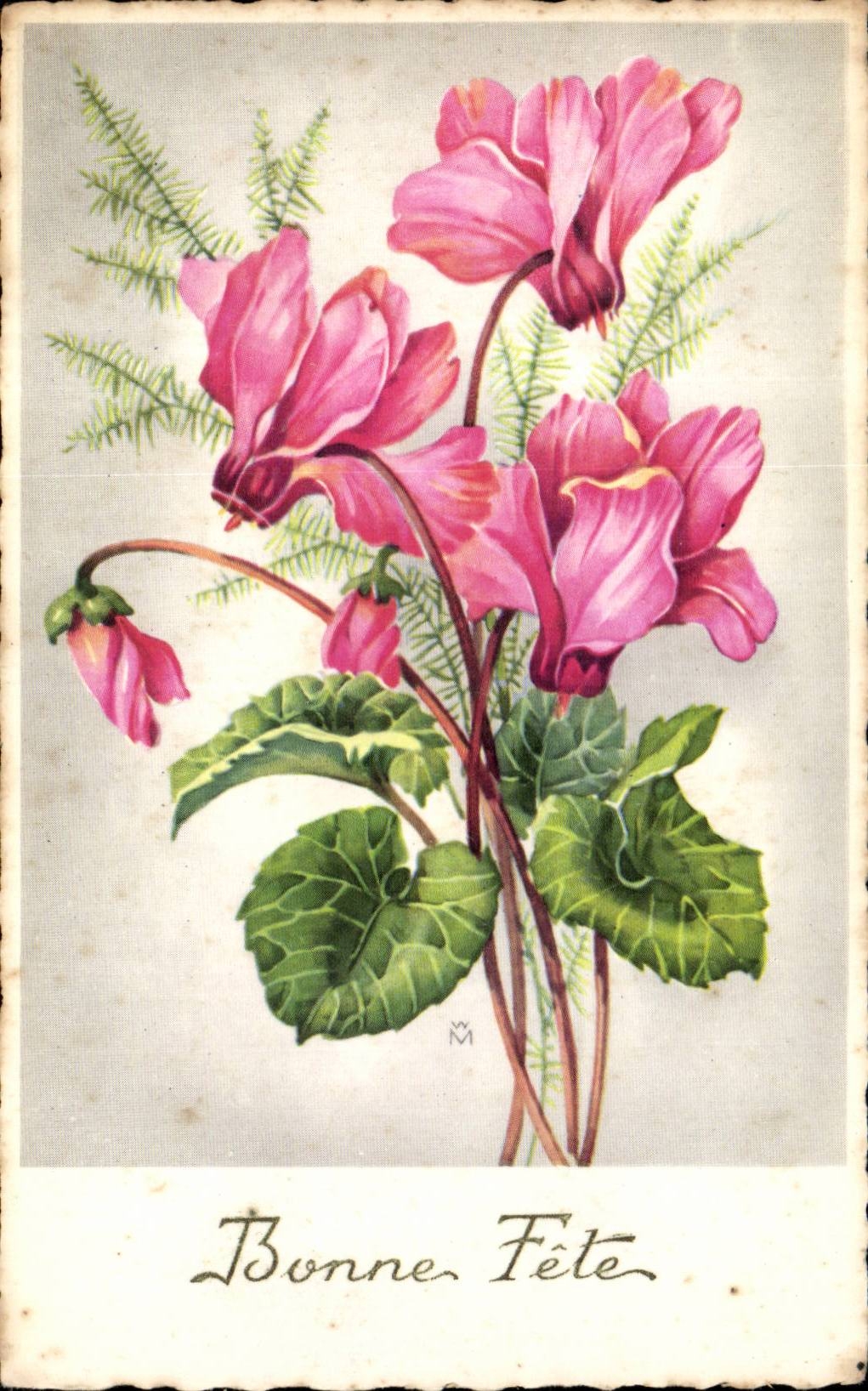 Blumen - Blumen - rosafarbene exotische Blumen - gutes Festival - CPA