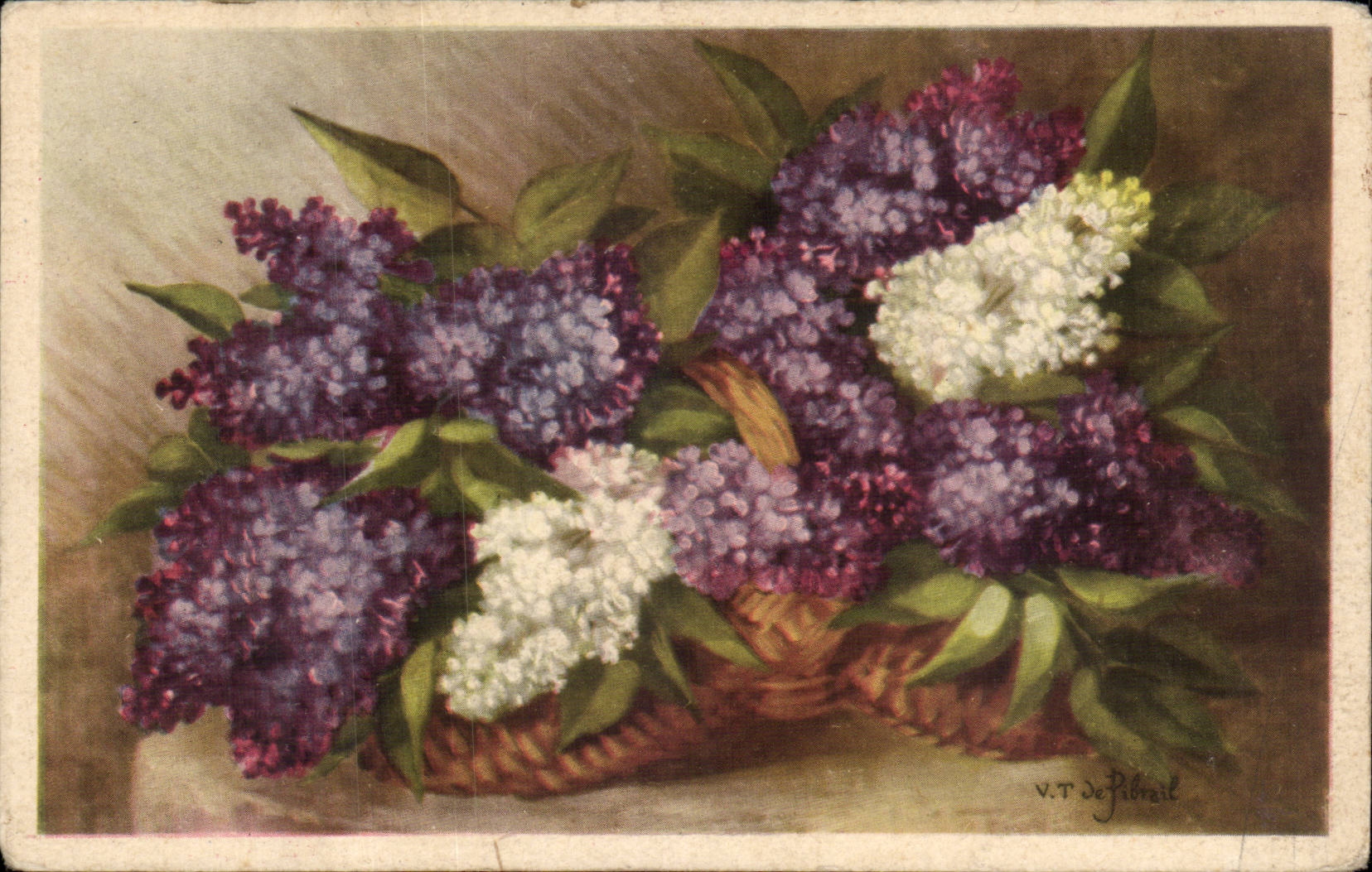 Blumen - Blumen - Tennisschuh der mit hubschen Blumen - CPA birst