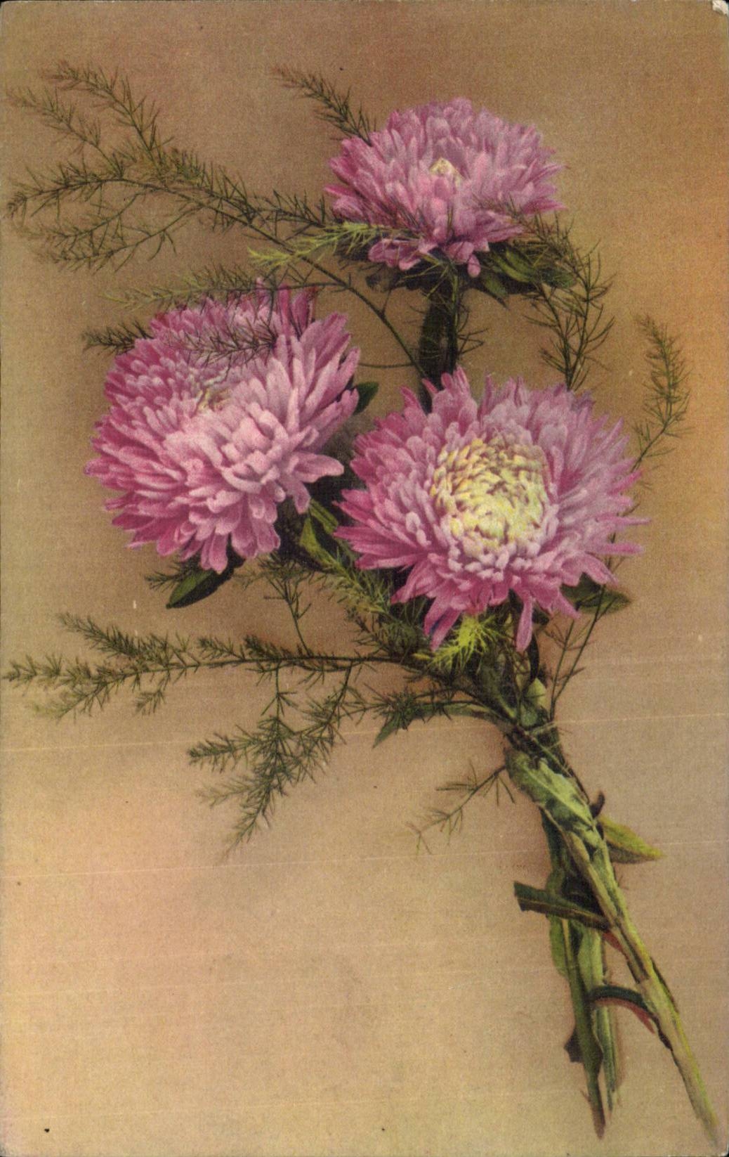 Blumen - Blumen - schone weisse Bluten - CPA