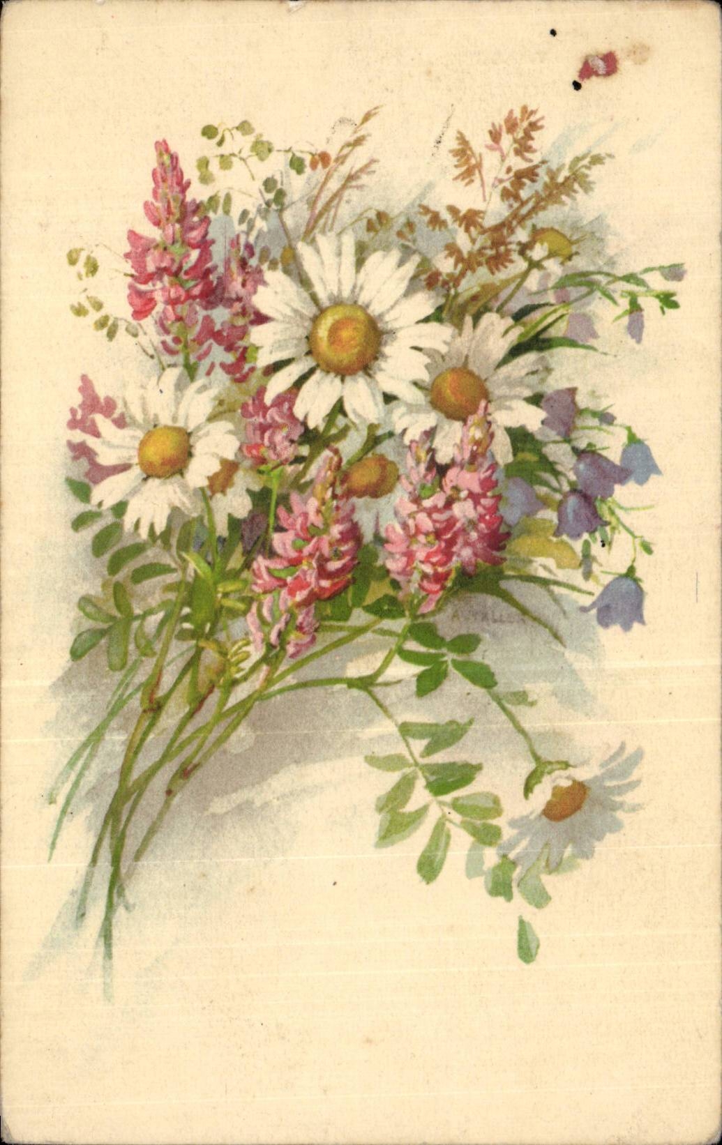 Blumen - Blumen - hubscher Ganseblumchenblumenstrauss - CPA