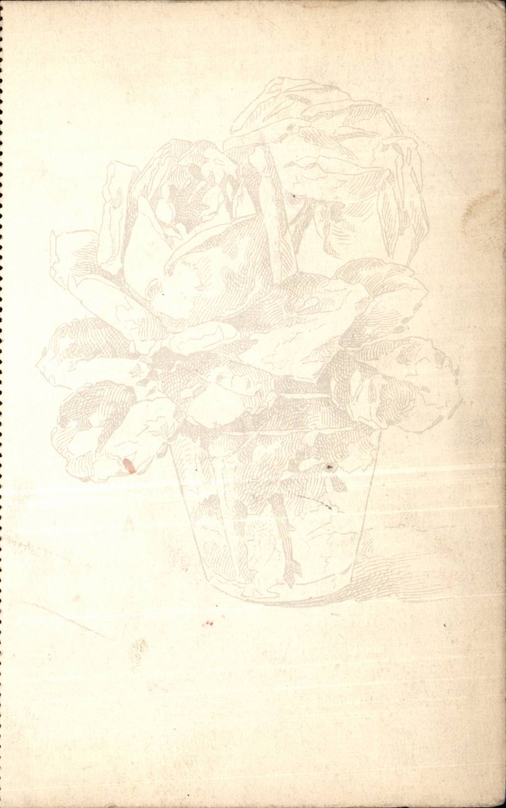 Blumen - Blumen - rosafarbenes helles Spitzen- Bild - CPA