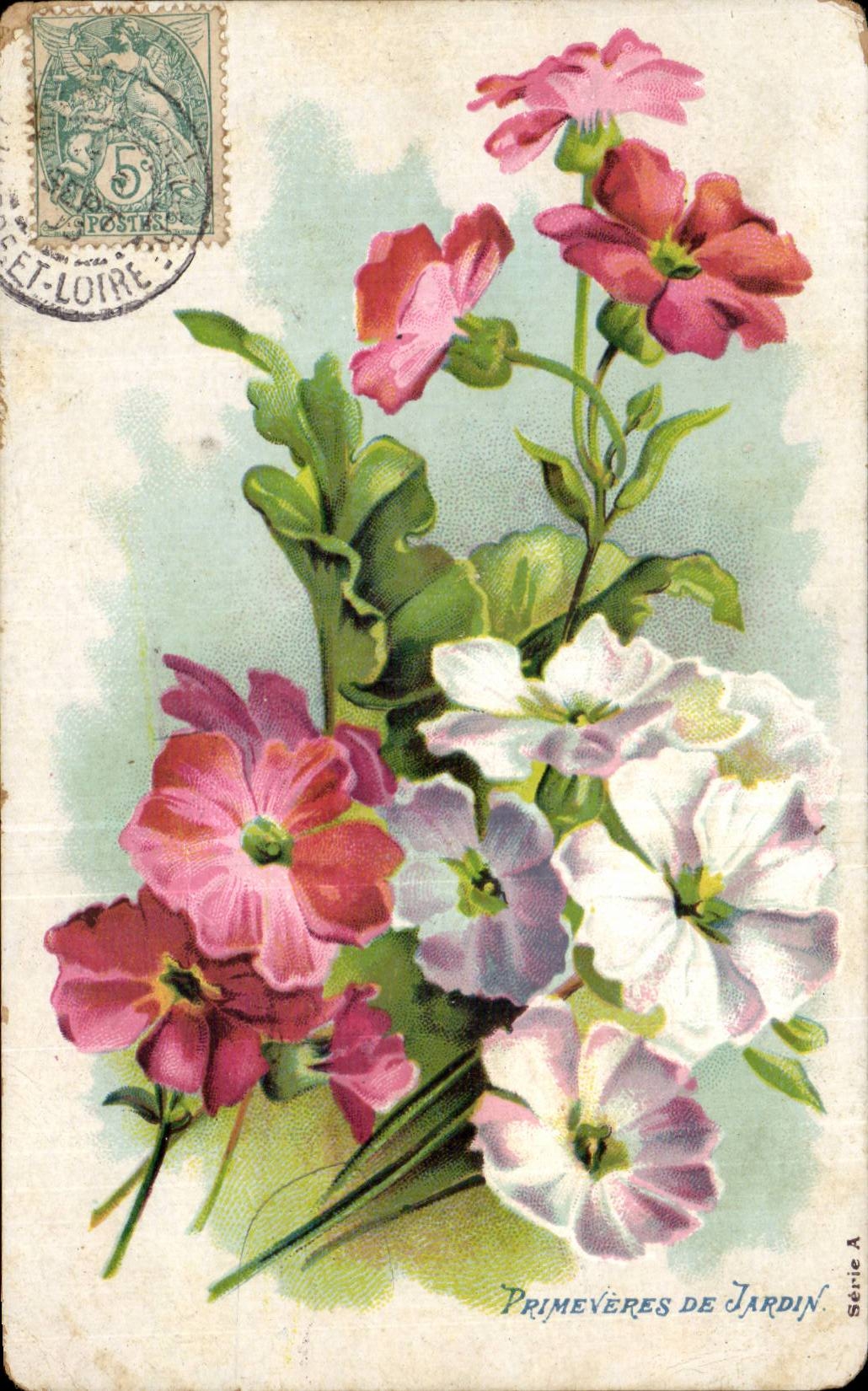 Fleurs - Flowers - Spring Bouquet - CPA