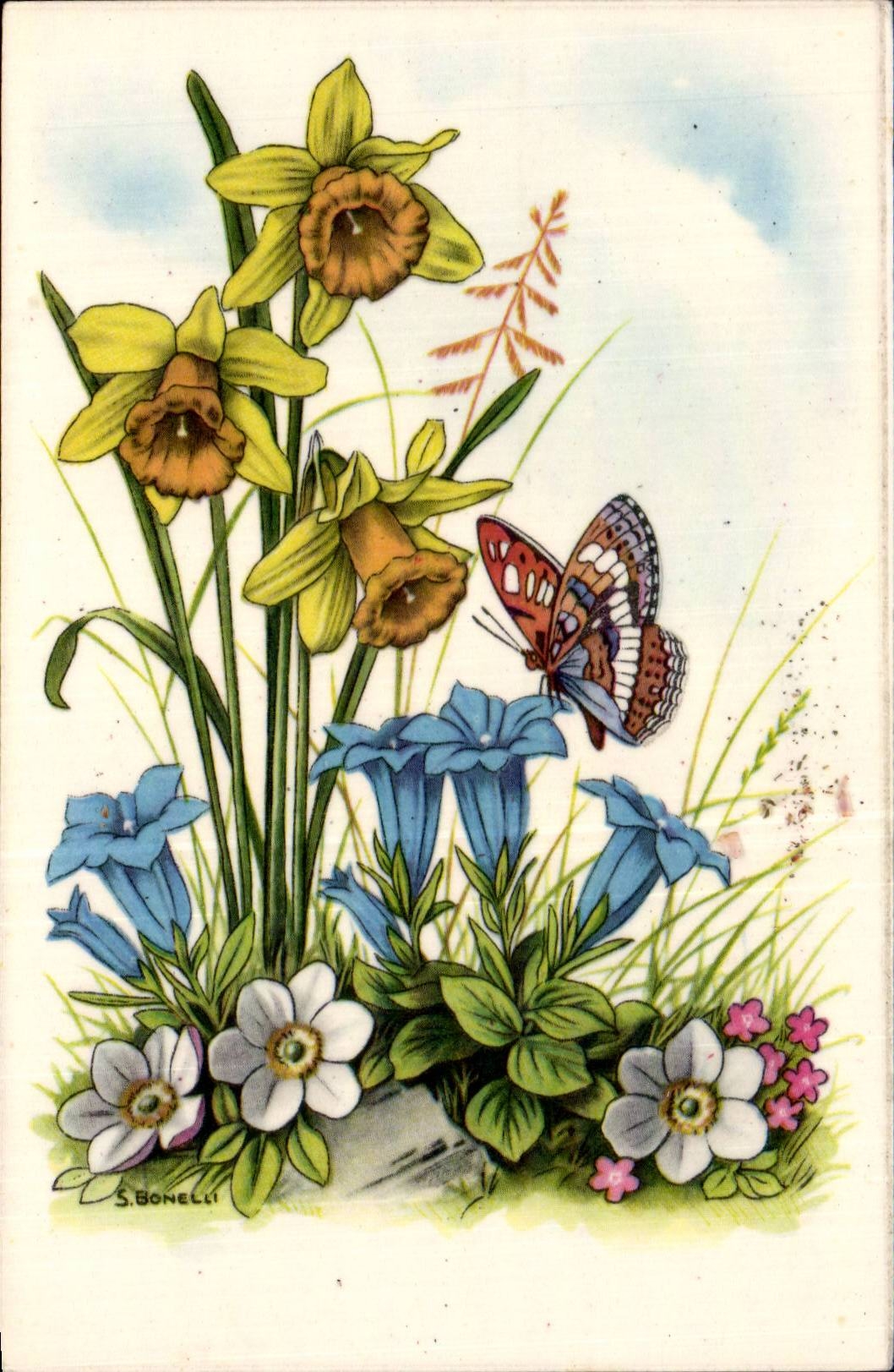 Bluht - Blumen - Narzisse - Schmetterling - Schmetterling - Victorian - CPA