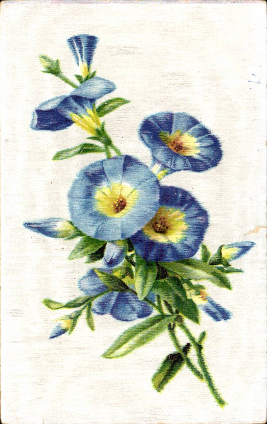 Bluht - Blumen - purpurrote Blumen - CPA