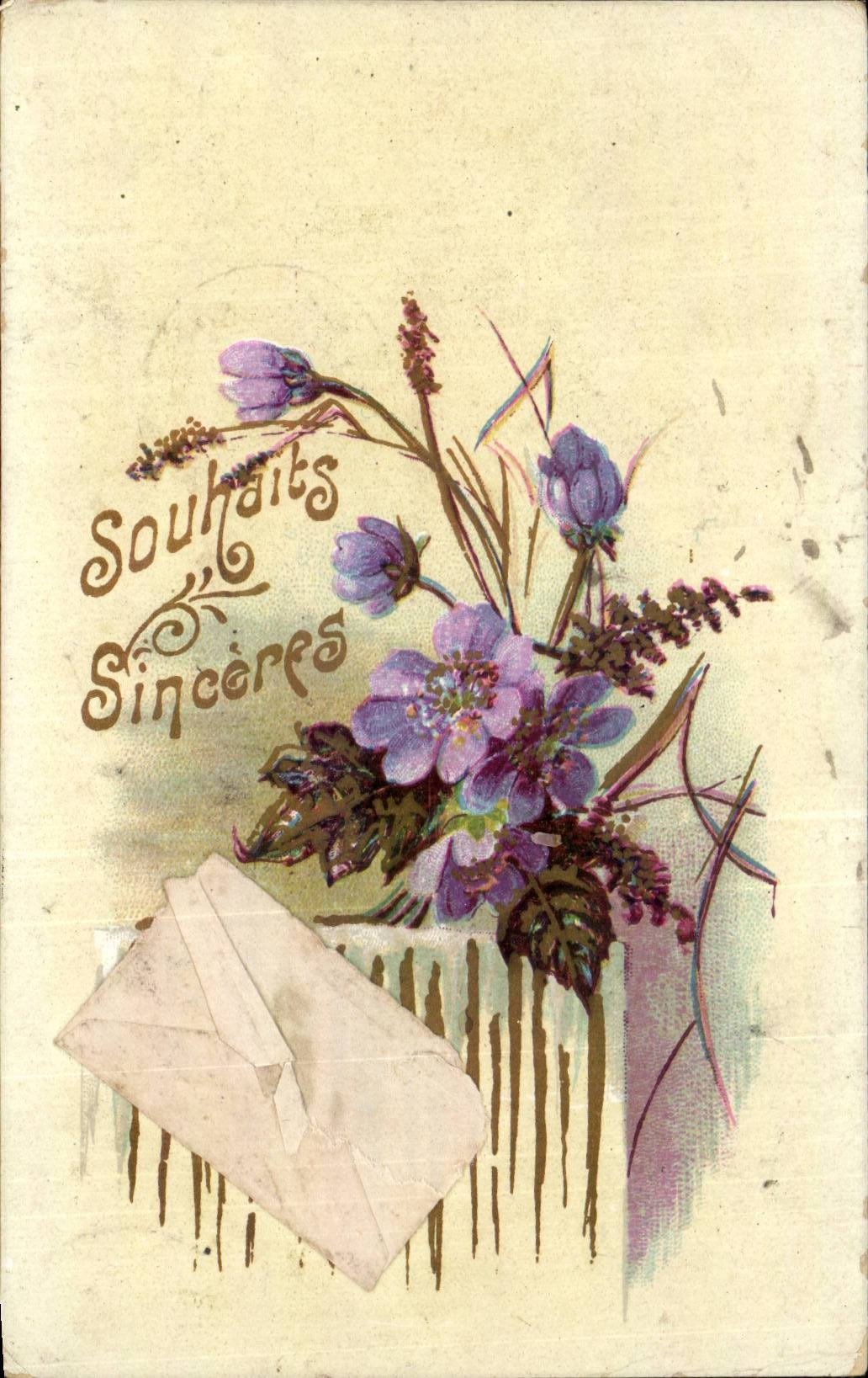 Bluht - Blumen - purpurrote Wildflowers - CPA