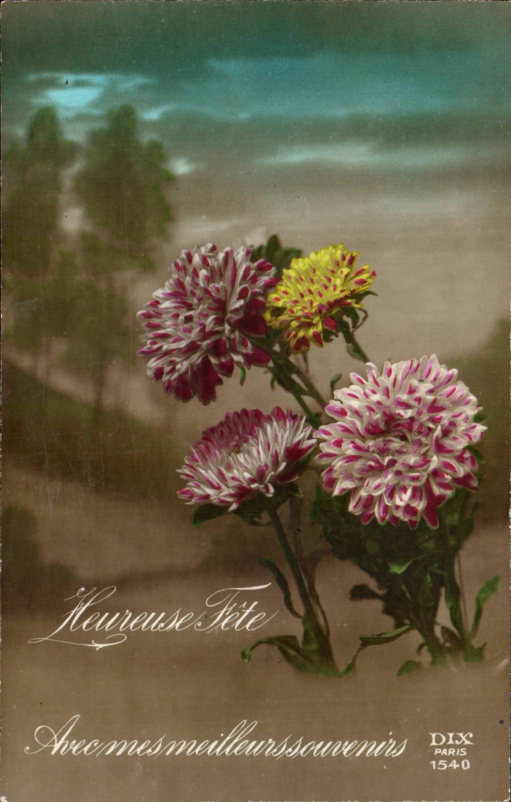 Blume - Blumen - Victorian - Wildflowers - - CPA