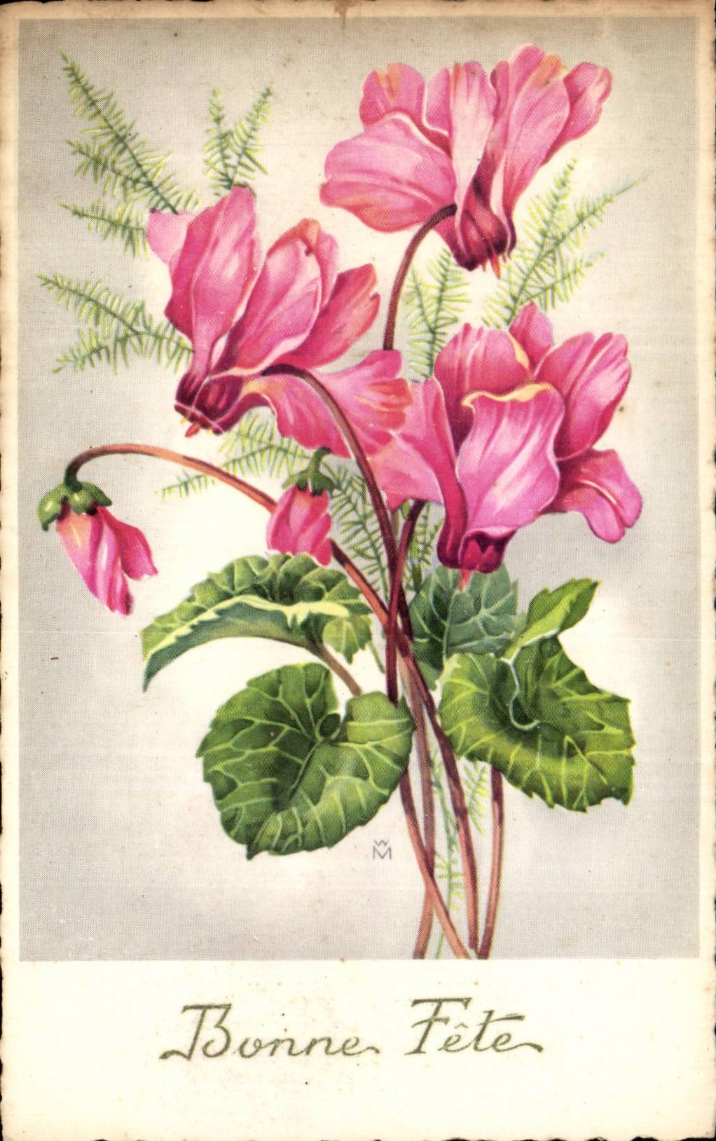 Blume - Blumen - Victorian - rosafarbene exotische Blumen - - CPA