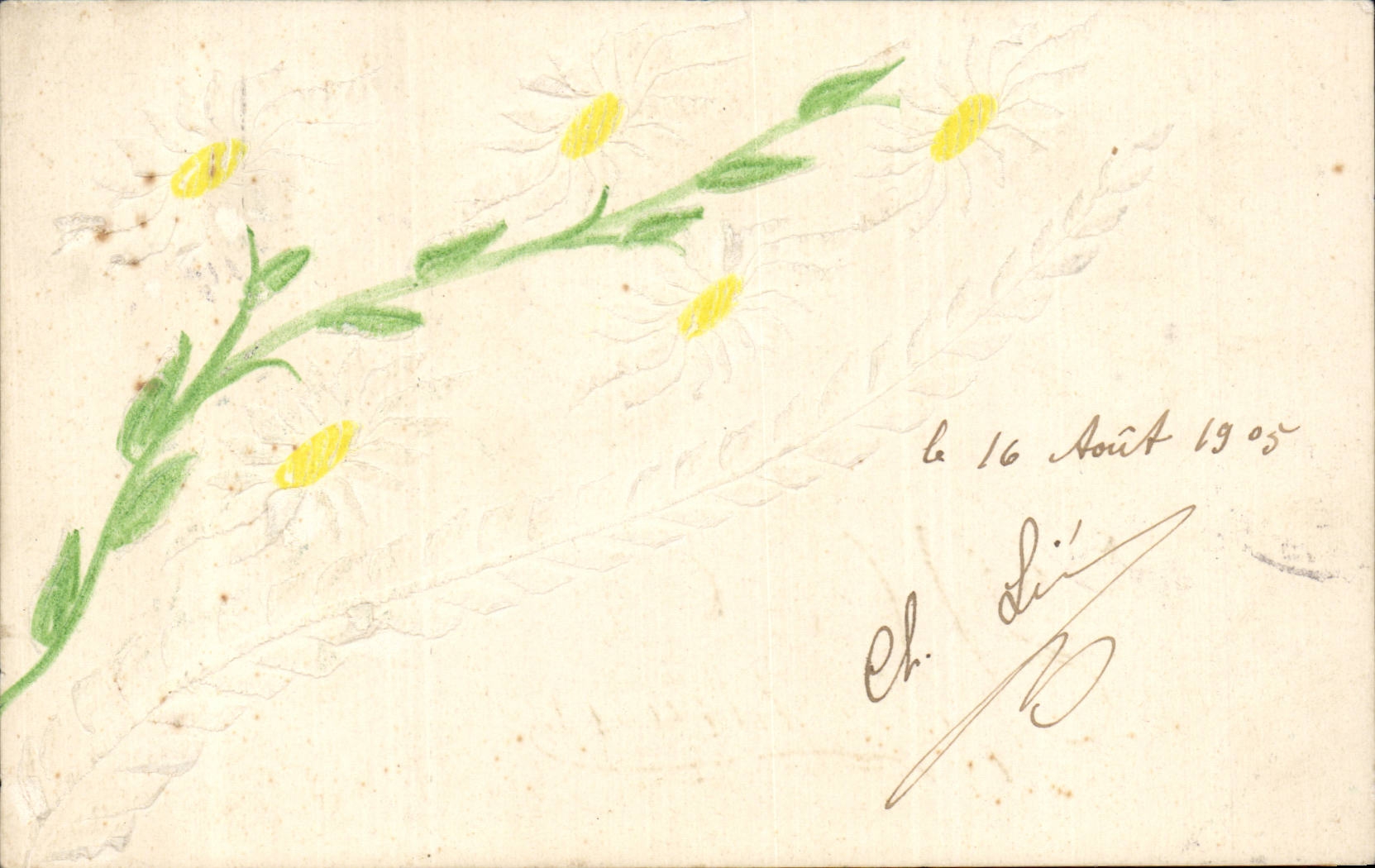 Bluht - Blumen - Ganseblumchen - CPA