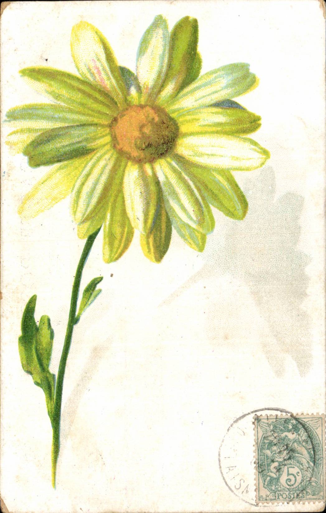 Bluht - Blumen - gluckliches Ganseblumchen - CPA