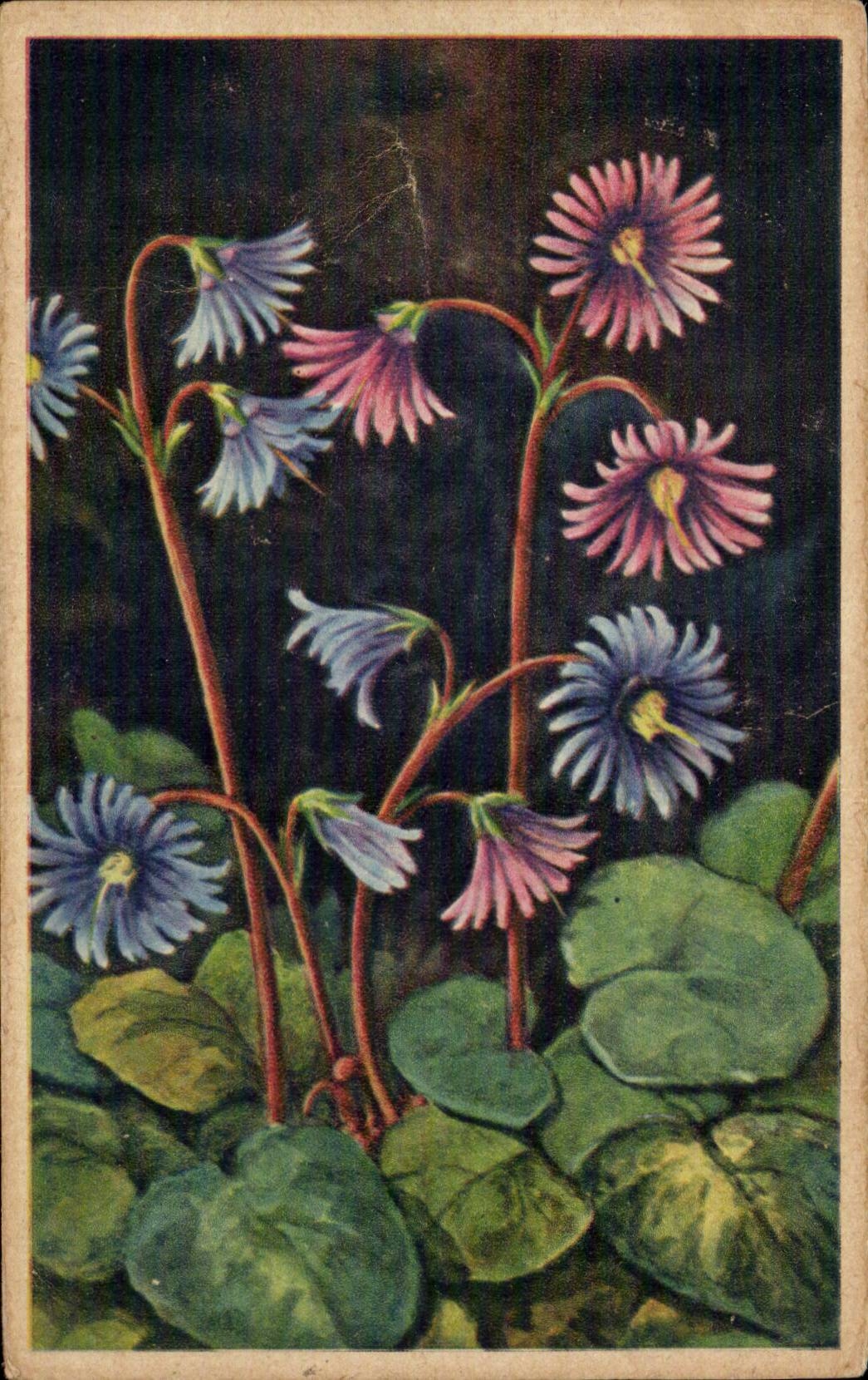 Blumen - Blumen - kleine victorian Blumen - CPA