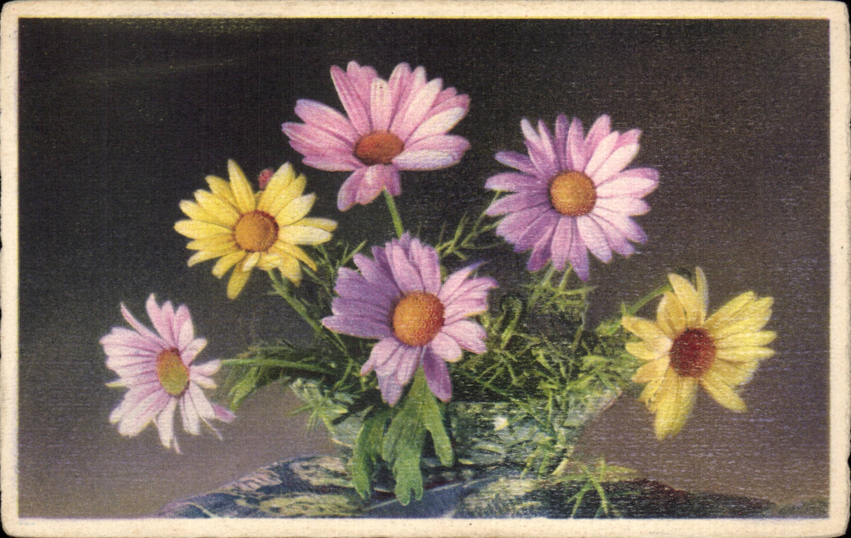 Bluht - Blumen - Ganseblumchen - CPA