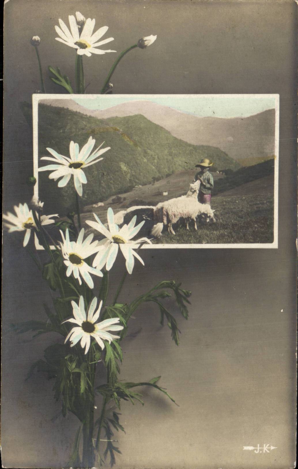 Bluht - Blumen - Ganseblumchen - Schafe - Schafe - CPA