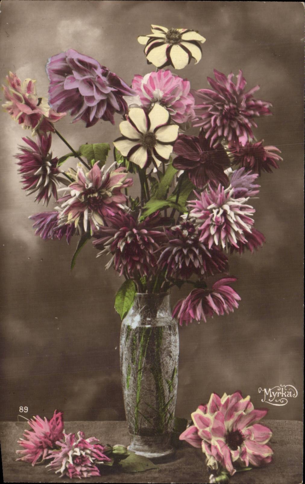 Bluht - Blumen - exotische Blumen im Totenglocken-Vase - CPA