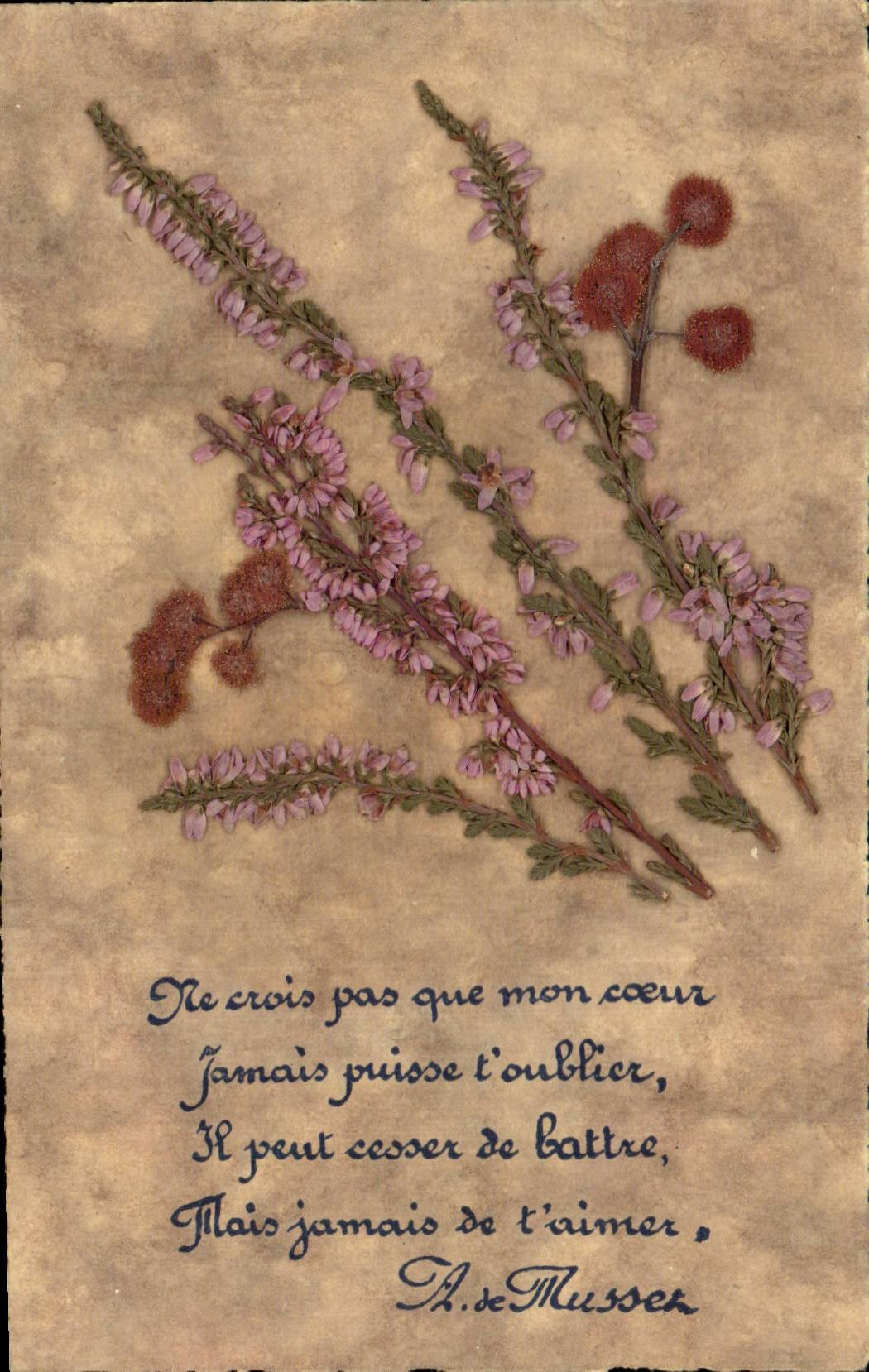 Bluht - Blumen - Wildflower - CPA Blume sechees