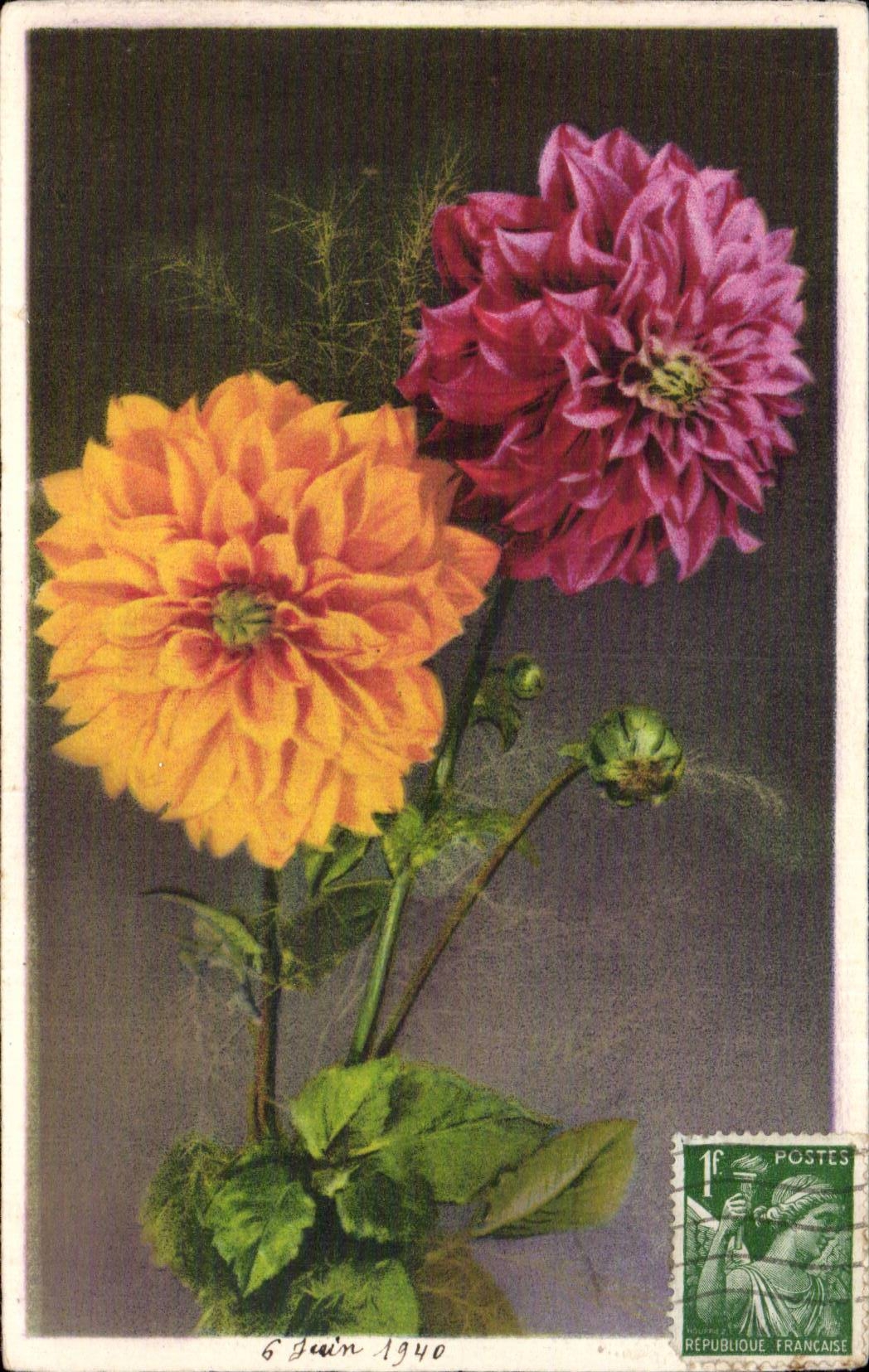 Blumen - Blumen - zwei ausgedehnte Blute - CPA